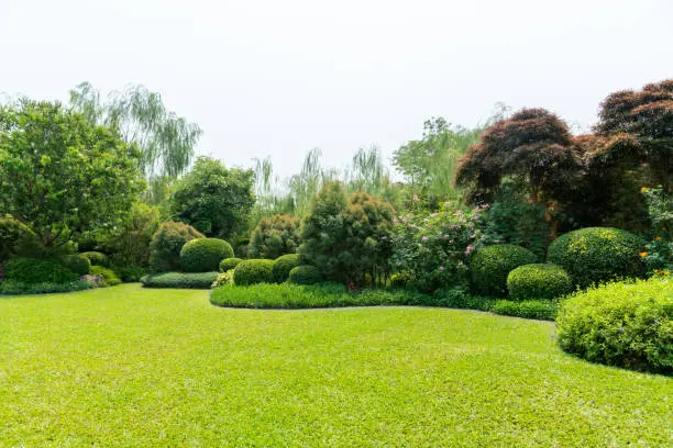 Lawn Care Hacks in Lorton, VA