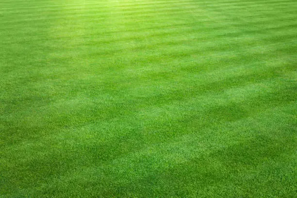 Lawn Care Hacks in Lorton, VA
