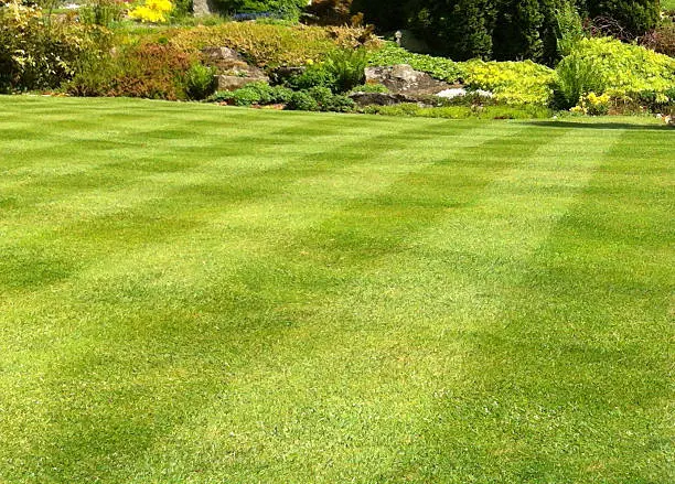 Lawn Care in Lorton, VA Lawn Care in Lorton, VA