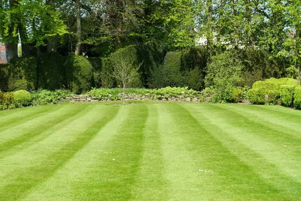 Lawn Care in Lorton, VA Lawn Care in Lorton, VA