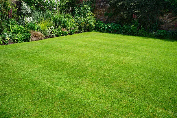 Quality Lawn Care in Lorton, VA Quality Lawn Care in Lorton, VA